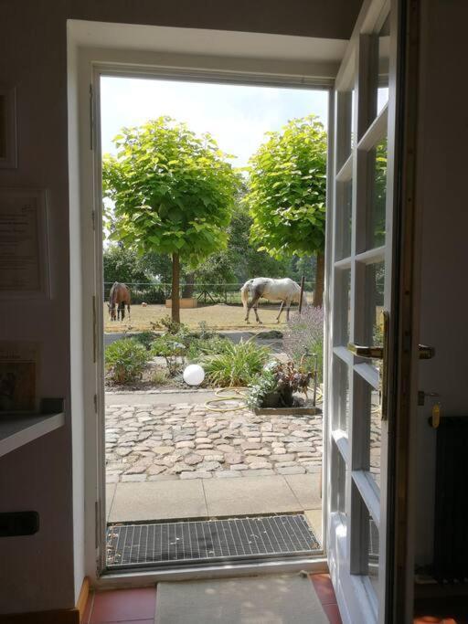 Xanadi Heilehaus Kleine Auszeit Kururlaub Apartamento Bruchhausen-Vilsen Exterior foto